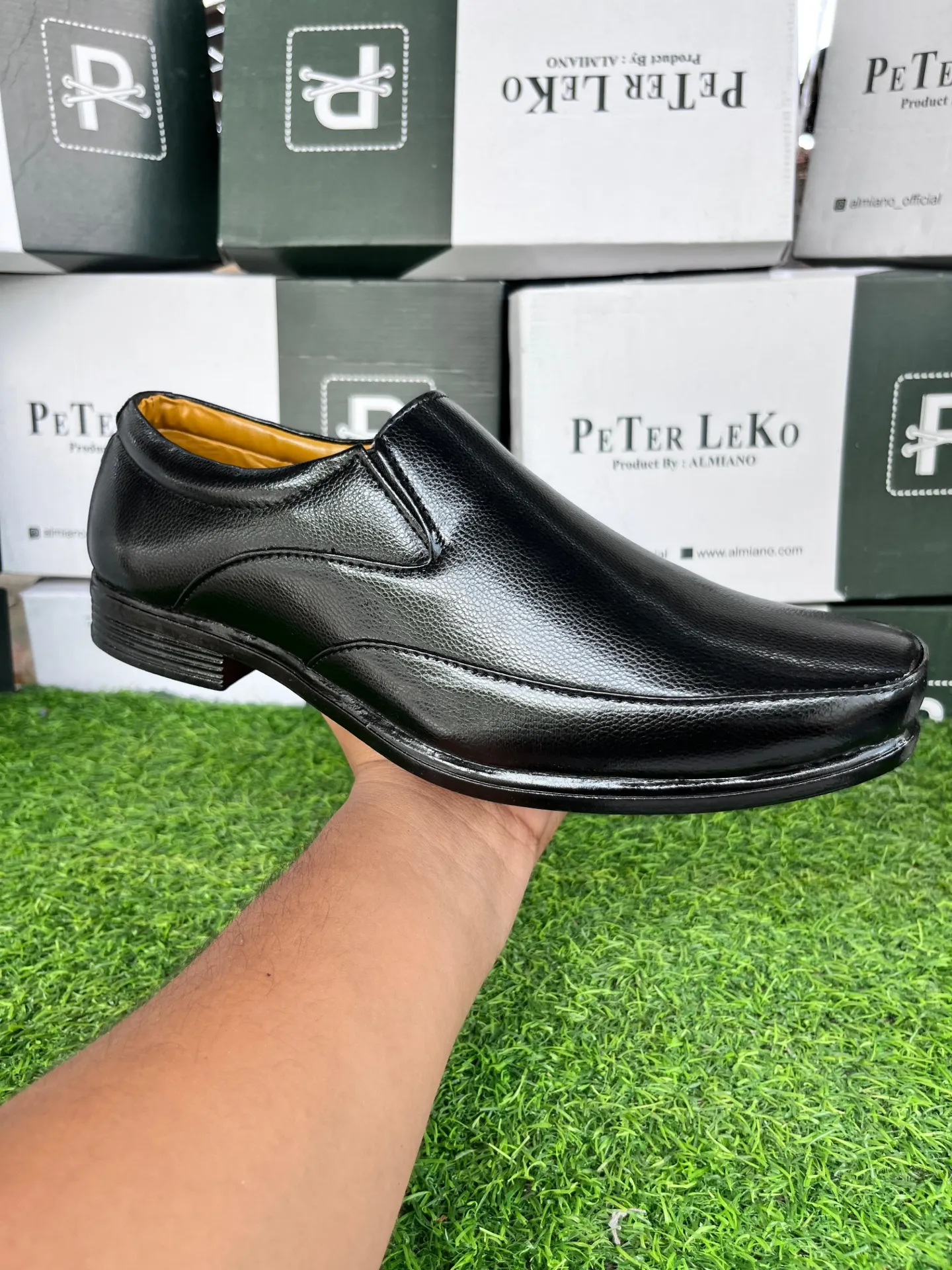Almiano-PL015 BACK-(6/1,7/2,8/2,9/2,10/1)